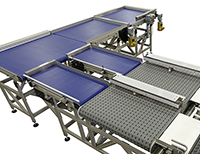 case handling conveyor